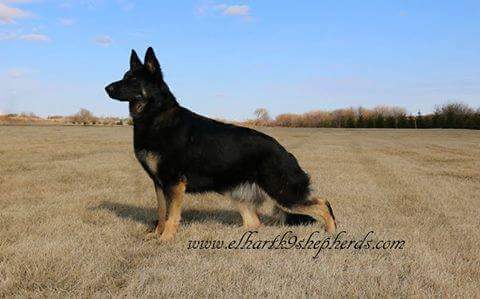 FB_IMG_1492573953146