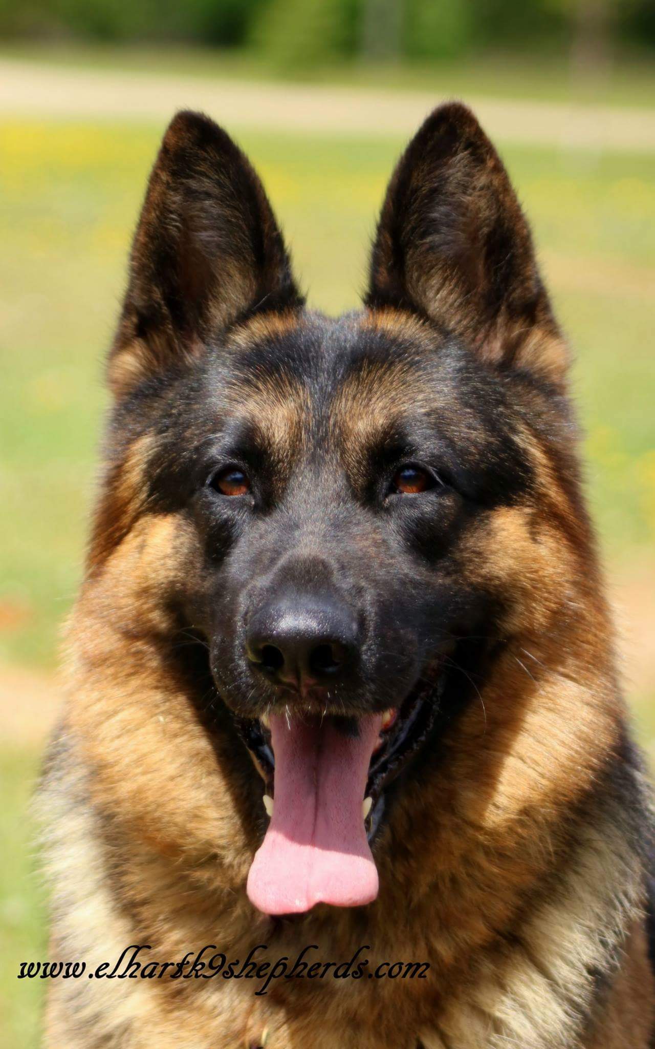 FB_IMG_1496783907952