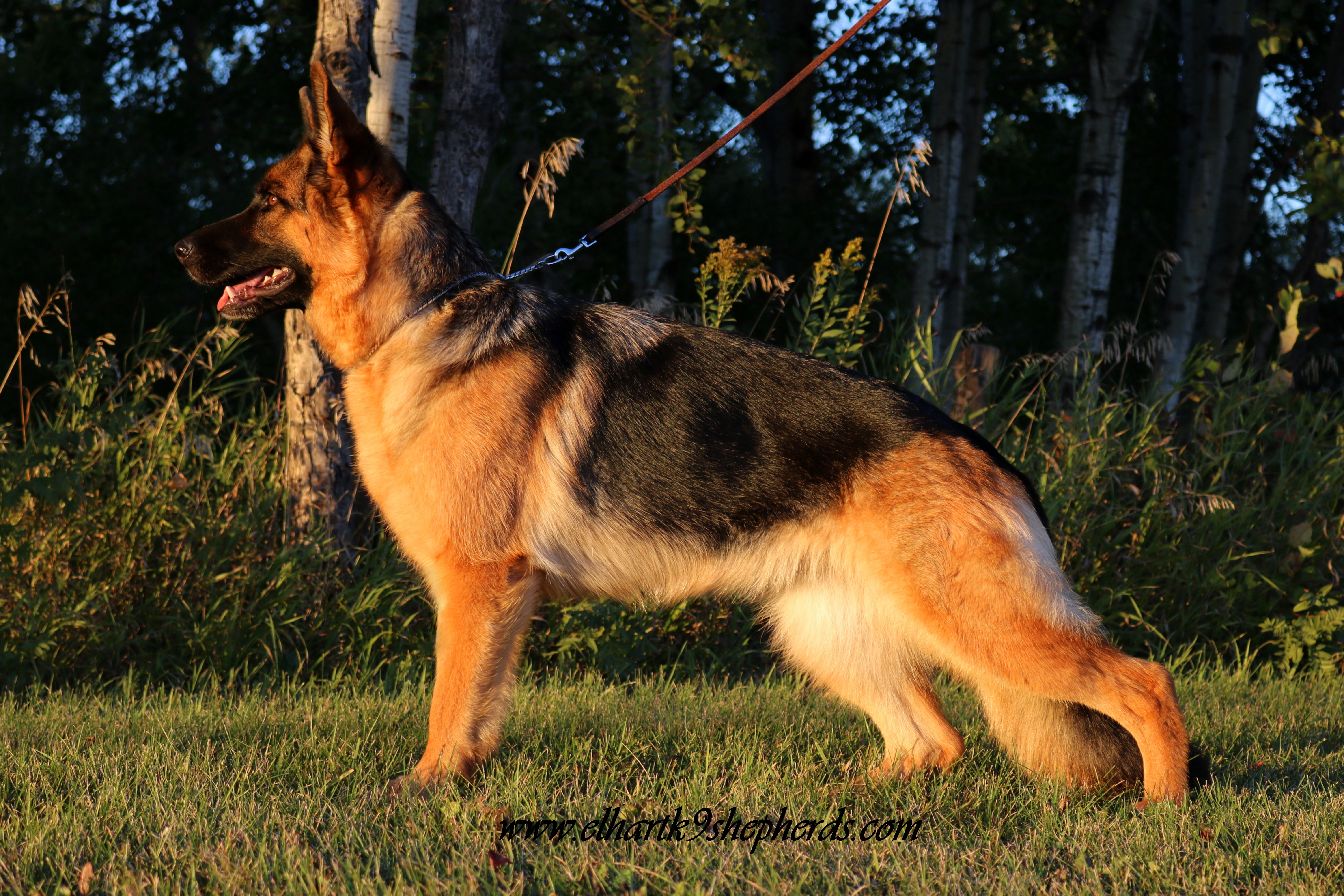 ravyn-sept-2016-stack