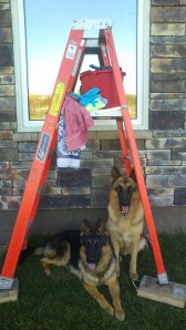 Beckett and Cassie under the ladder
