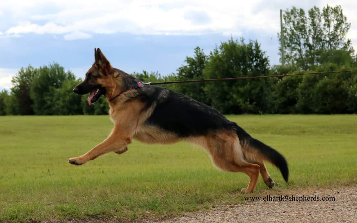 FB_IMG_1498265041859