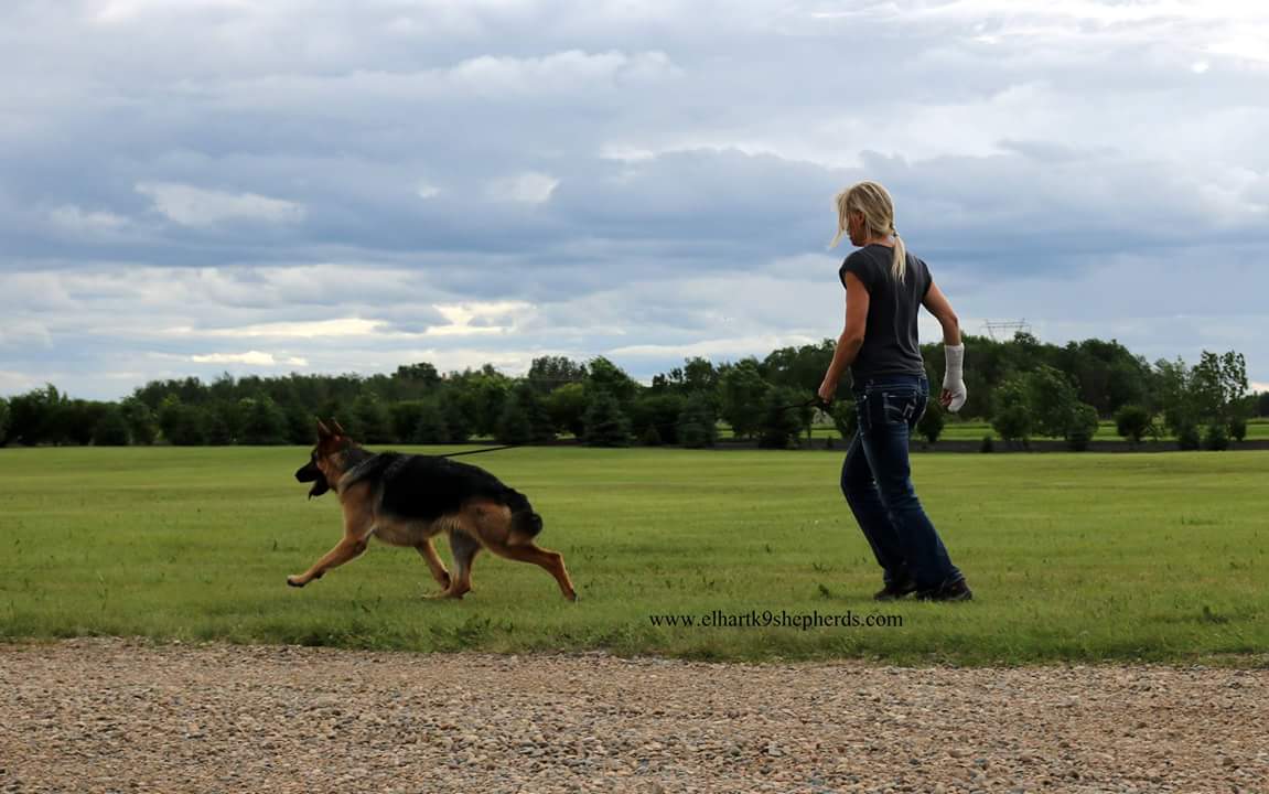 FB_IMG_1498265045403