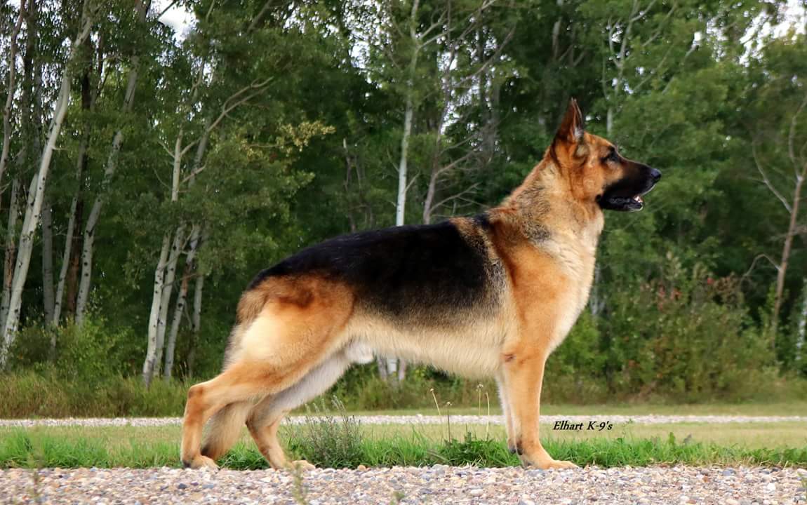 FB_IMG_1536279298507