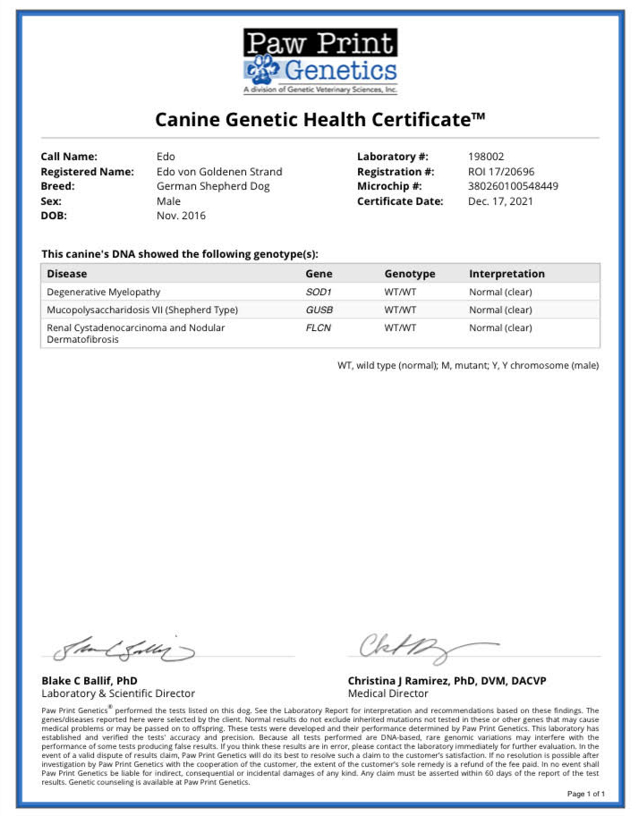Edo Health Certificate correct