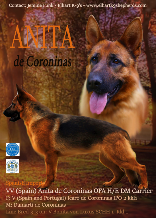 Anita de Coroninas Poster